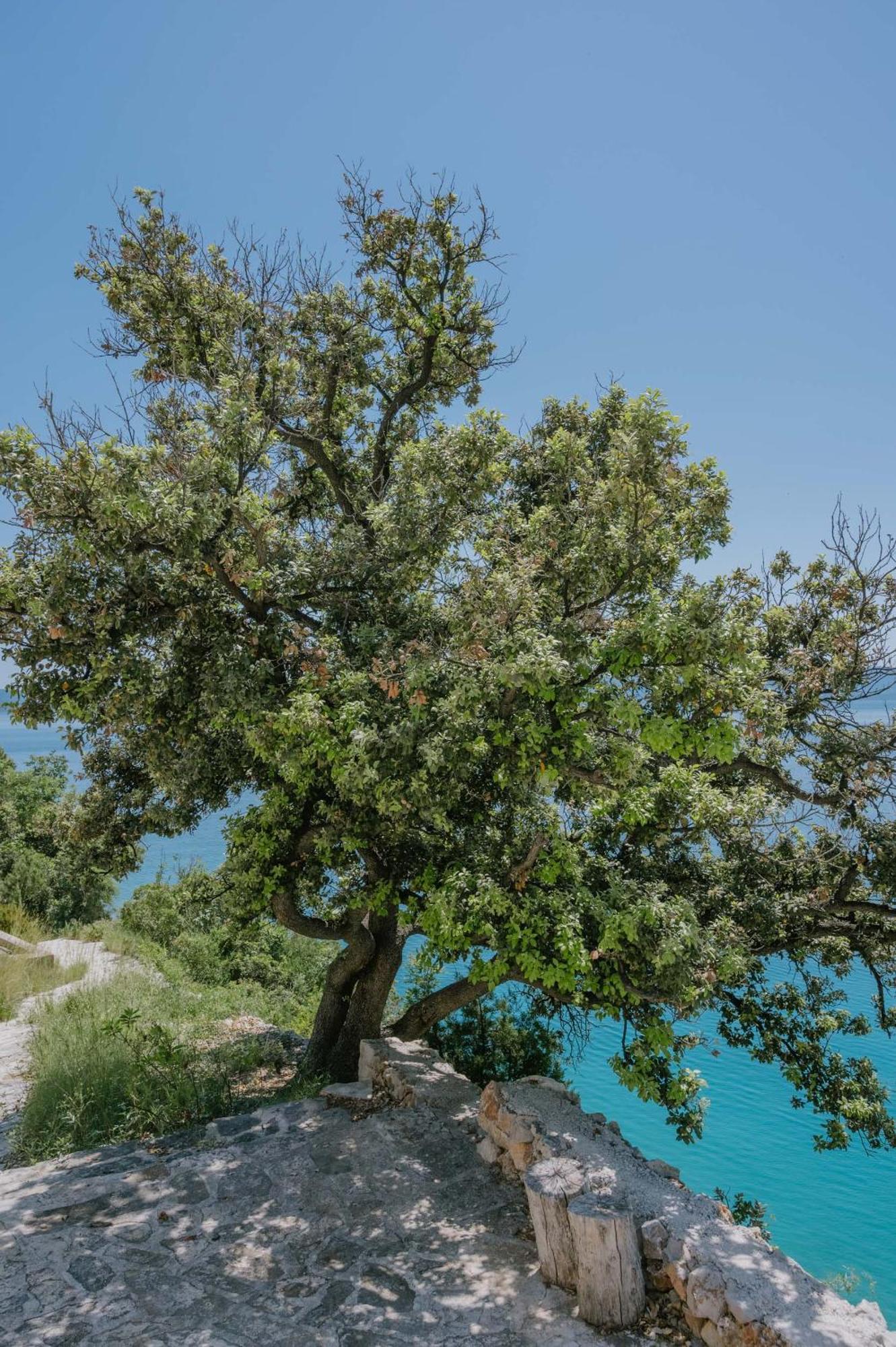 Hidden Gem By Nono Ban Villa Бол Екстериор снимка